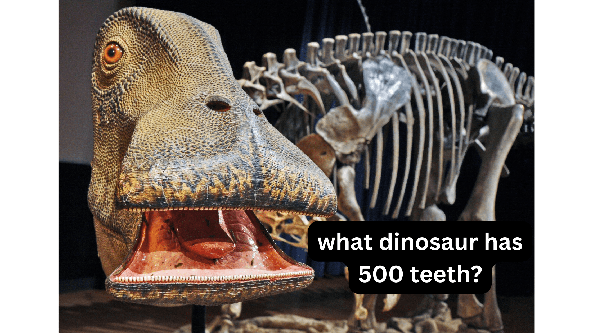 What Dinosaur Has 500 Teeth